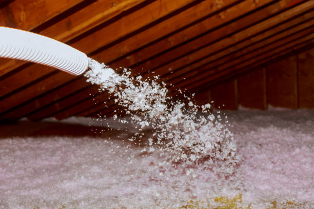 Best Crawl Space Insulation  in Shrewsbury, MO