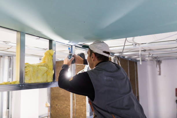 Best Affordable Insulation Services  in Shrewsbury, MO