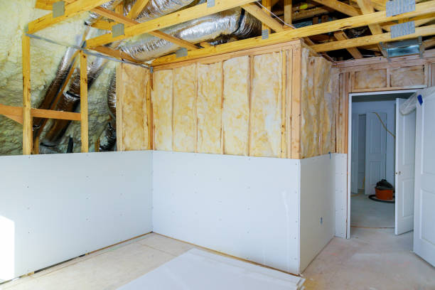 Best Energy-efficient Insulation  in Shrewsbury, MO