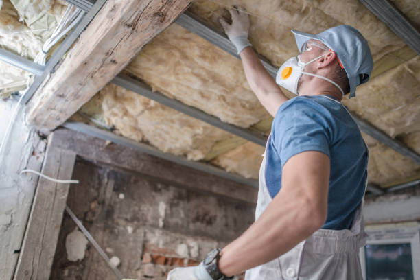 Best Commercial Insulation Contractor  in Shrewsbury, MO