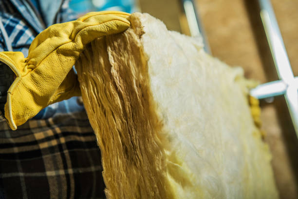 Best Insulation Removal Services  in Shrewsbury, MO
