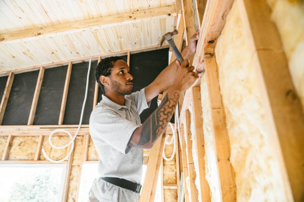 Best Insulation Inspection Services  in Shrewsbury, MO