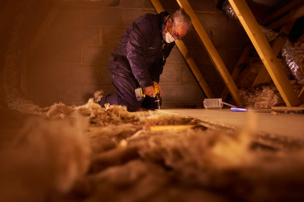 Best Cellulose Insulation  in Shrewsbury, MO